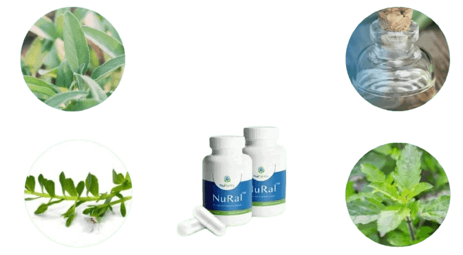 nural supplement ingredients
